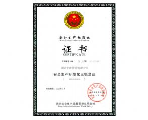 2024新澳门历史记录查询