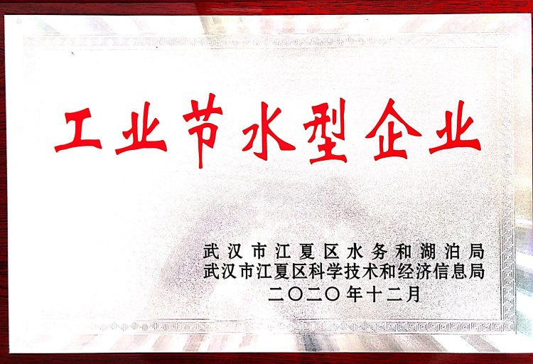 2024新澳门历史记录查询