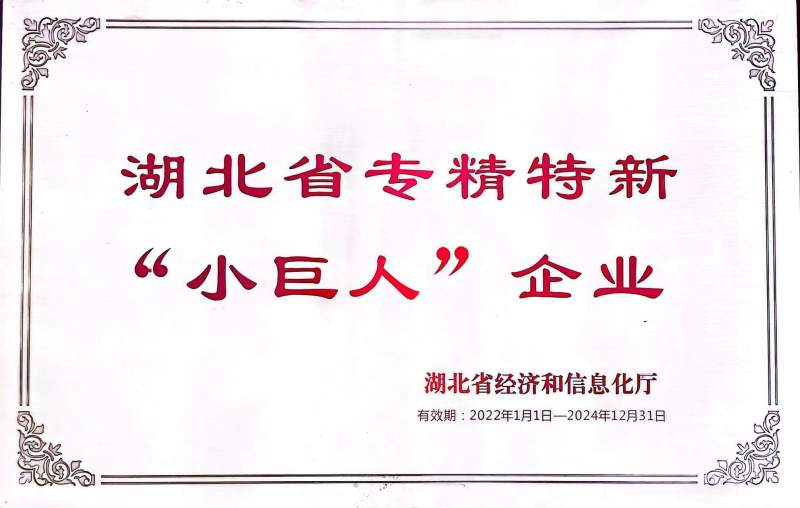 2024新澳门历史记录查询